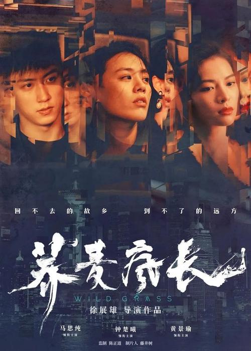 萨拉曼卡大学萨拉曼卡国际商务文凭证书